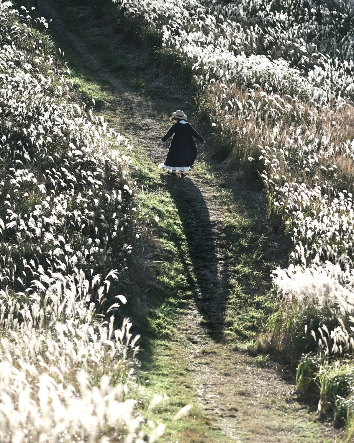 🏞️ 시오즈카 고원(塩塚高原) 이미지 7